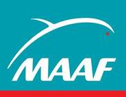 maaf maaf