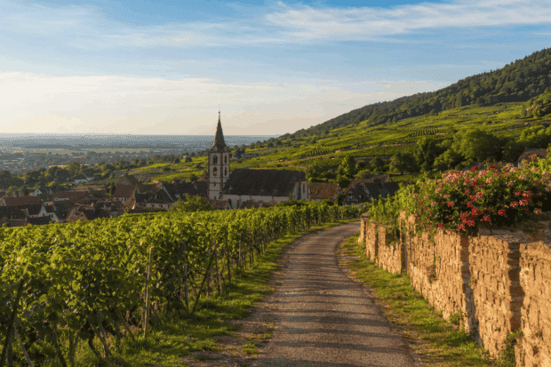 activité sur la Route des vins d'Alsace